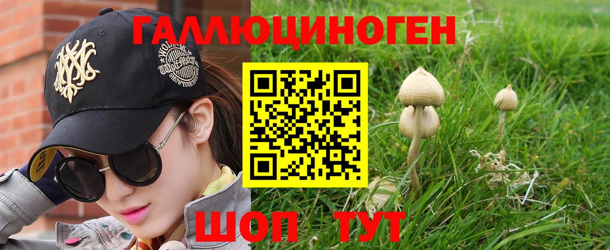 Псилоцибиновые грибы прущие грибы Коммунар