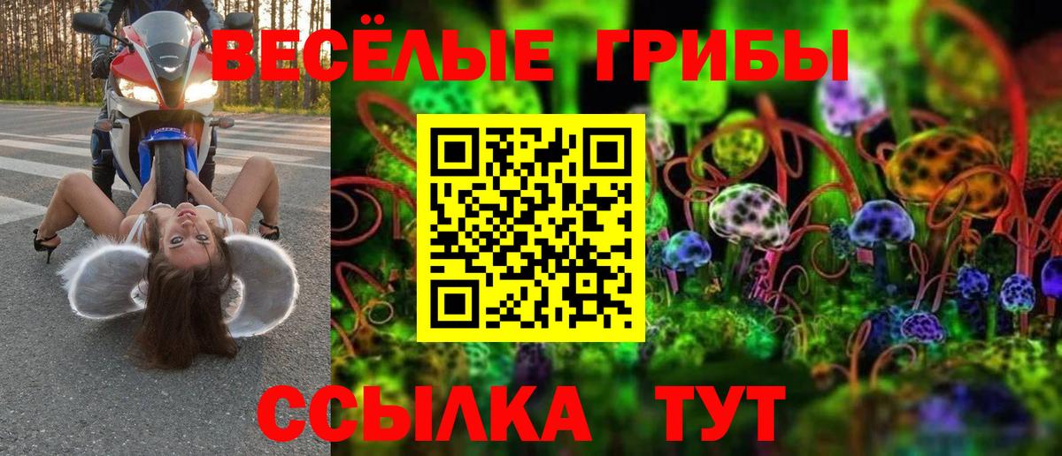 Псилоцибиновые грибы прущие грибы  Псилоцибиновые грибы мухоморы  Вход с VPN  даркнет сайт  Коммунар 